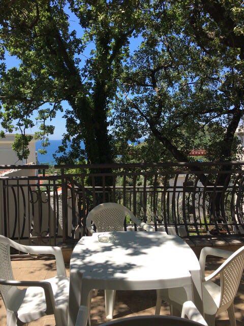 Villa Julia Petrovac 外观 照片