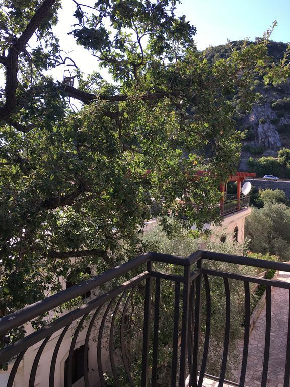 Villa Julia Petrovac 外观 照片