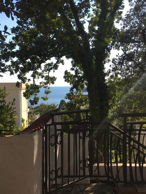 Villa Julia Petrovac 外观 照片