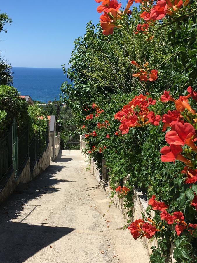 Villa Julia Petrovac 外观 照片