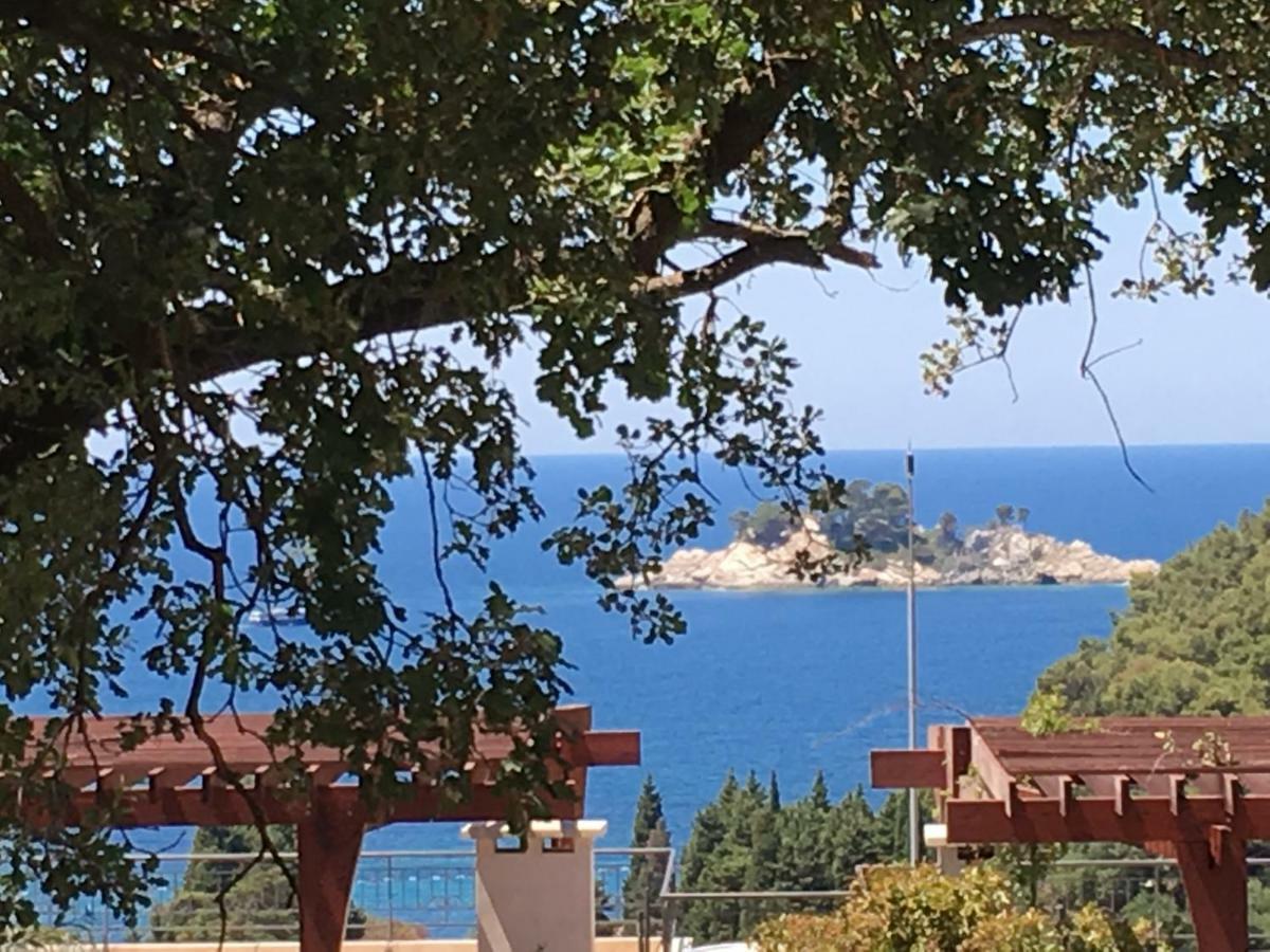 Villa Julia Petrovac 外观 照片